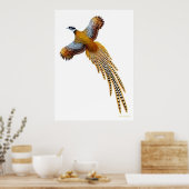 Flying Reeves Pheasant Print Poster (Küche)