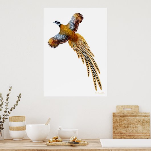 Flying Reeves Pheasant Print Poster (Küche)