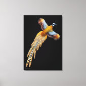 Flying Reeves Pheasant Wrapped Canvas Leinwanddruck (Vorderseite)