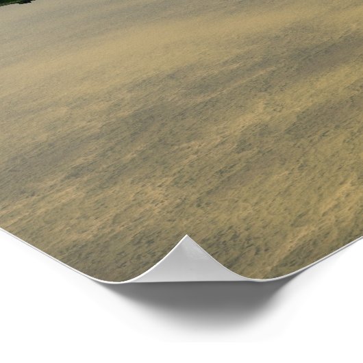 Flying Saucer Fleet Poster (Ecke)