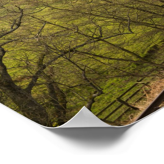 Flying Scotsman in Goathland Poster (Ecke)