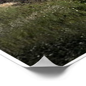 Flying Scotsman on the Mainline (5539) Poster (Ecke)