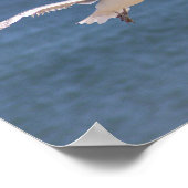 Flying Seagull Foto Poster (Ecke)