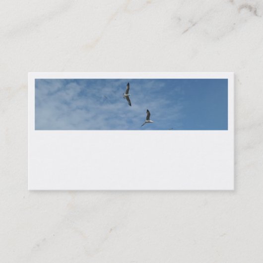 Flying Seagulls Business Cards Visitenkarte (Vorderseite)