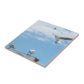 Flying Sitting Seagulls Birds Blue Sky Fliese (Seite)