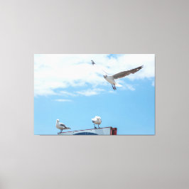Flying Sitting Seagulls Birds Blue Sky Leinwanddruck