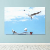 Flying Sitting Seagulls Birds Blue Sky Leinwanddruck (Insitu (Holzboden))