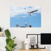 Flying Sitting Seagulls Birds Blue Sky Poster (Heimbüro)