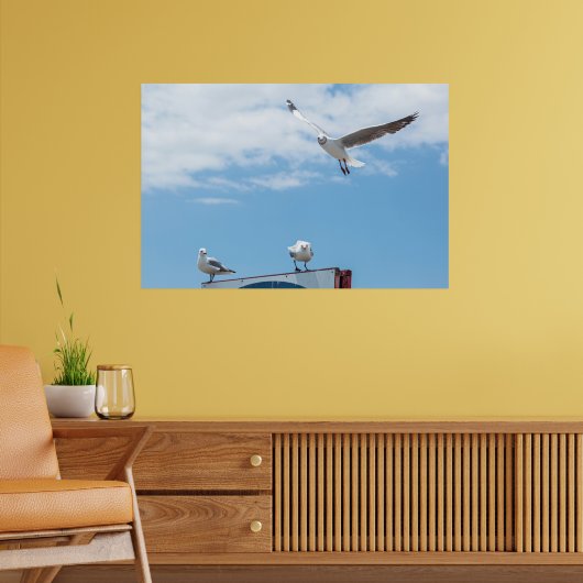 Flying Sitting Seagulls Birds Blue Sky Poster (Wohnzimmer 2)