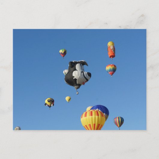 Flying Skunk Postkarte (Vorderseite)