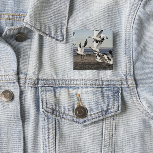 Flying Snow Gese Button (Beispiel)