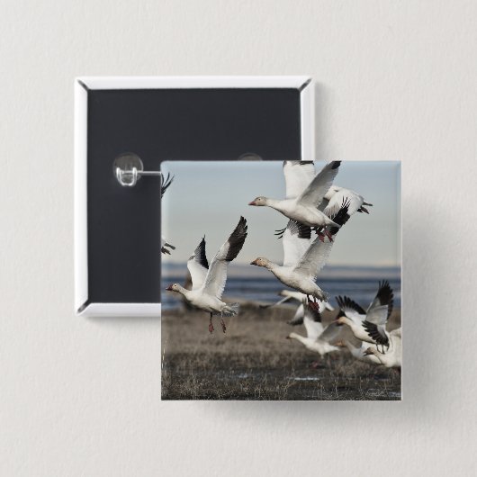 Flying Snow Gese Button (Vorne & Hinten)