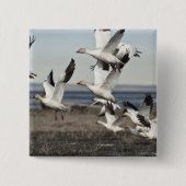 Flying Snow Gese Button (Vorderseite)