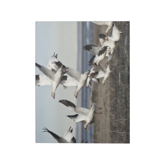 Flying Snow Gese Notizblock (Rotiert)