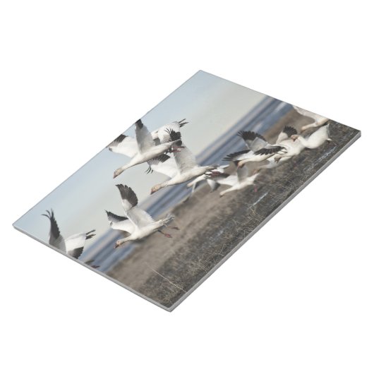 Flying Snow Gese Notizblock (angewinkelt)