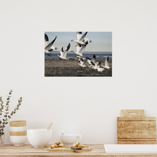 Flying Snow Gese Poster (Küche)