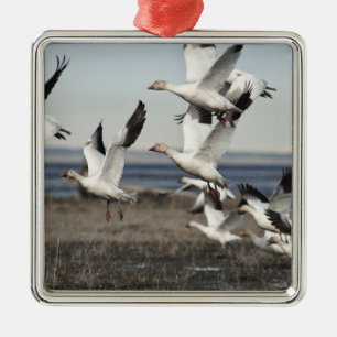 Flying Snow Gese Silbernes Ornament
