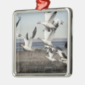 Flying Snow Gese Silbernes Ornament (Links)