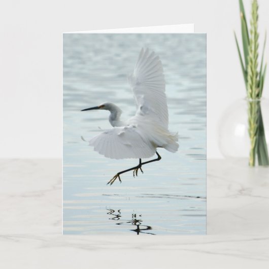 Flying Snowy Egret Karte (Vorderseite)