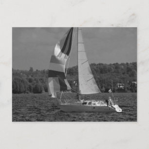 Flying Spinnaker Postkarte