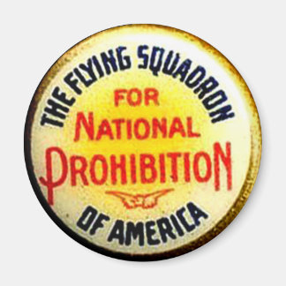 Flying Squadron - Magnet