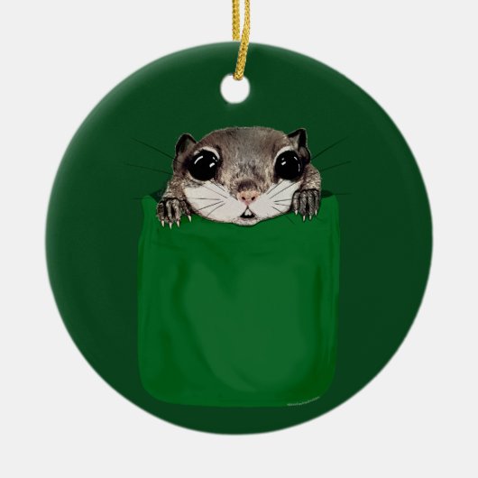 Flying Squirrel Pocket Keramik Ornament (Vorne)