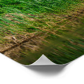 Flying Swan Nature Bird Wild Life Poster (Ecke)