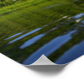 Flying Swan Nature Bird Wild Life Poster (Ecke)