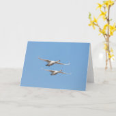Flying Swans Nature Foto Karte (Gelbe Blume)