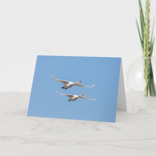 Flying Swans Nature Foto Karte (Vorderseite)