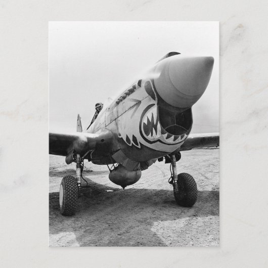 Flying Tigers P-40 Warhawk, 1941 Postkarte (Vorderseite)