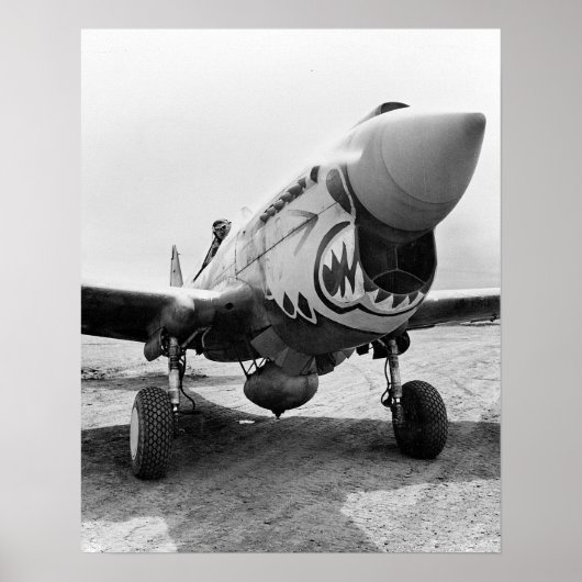 Flying Tigers P-40 Warhawk, 1941. Vintages Foto Poster (Vorne)