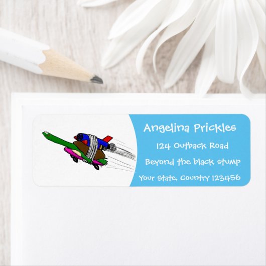 Flying Tortoise (Insitu)