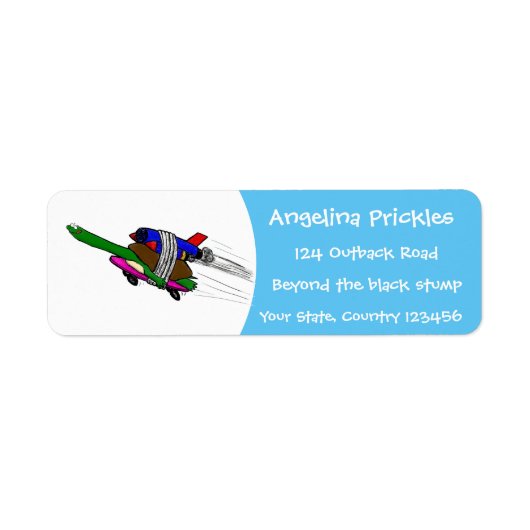 Flying Tortoise (Vorne)