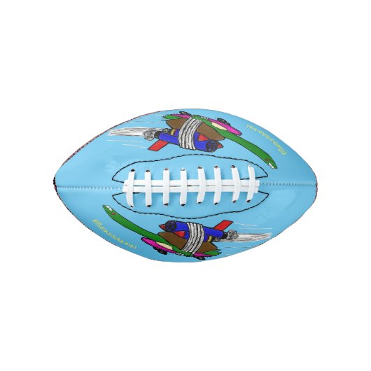 Flying Tortoise Football (Vorderseite)