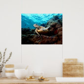 Flying Turtle Poster (Küche)