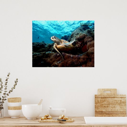 Flying Turtle Poster (Küche)