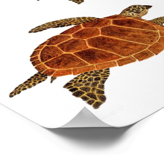 Flying Turtles Poster (Ecke)