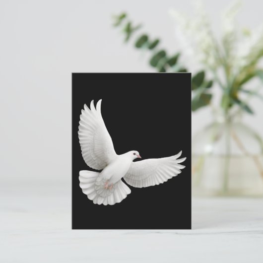 Flying White Dove Postcard Postkarte (Stehend Vorderseite)