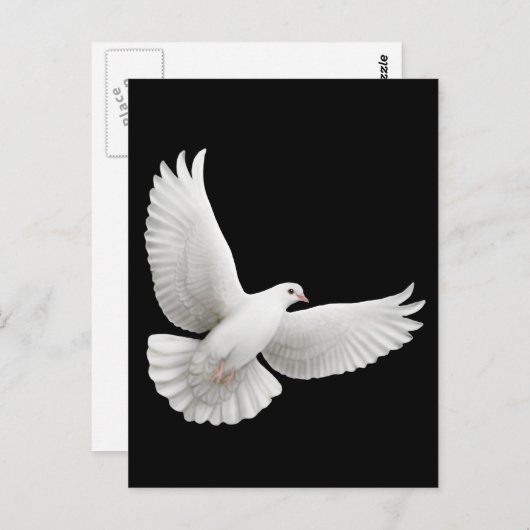 Flying White Dove Postcard Postkarte (Vorne/Hinten)