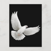 Flying White Dove Postcard Postkarte (Vorderseite)