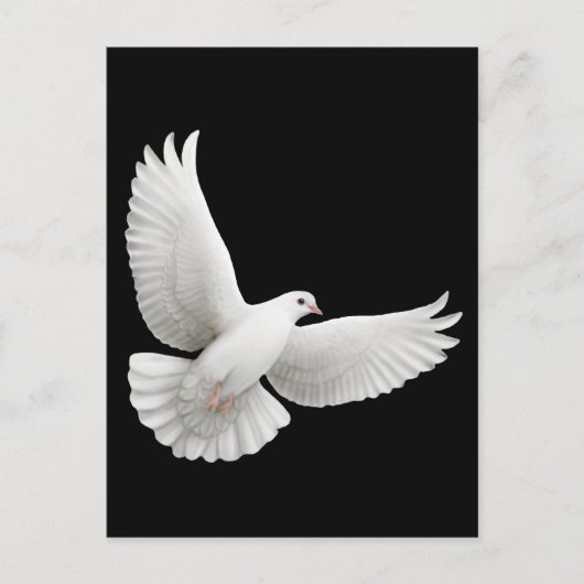 Flying White Dove Postcard Postkarte (Vorderseite)