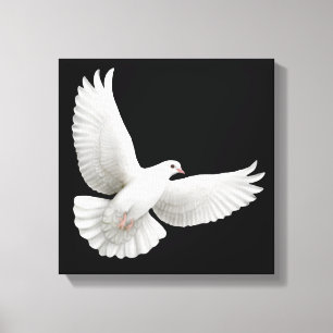 Flying White Dove Wrapped Canvas Leinwanddruck