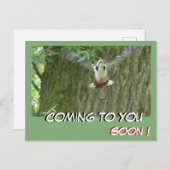 Flying Woodpecker kommen Sie bald Postkarte (Vorne/Hinten)