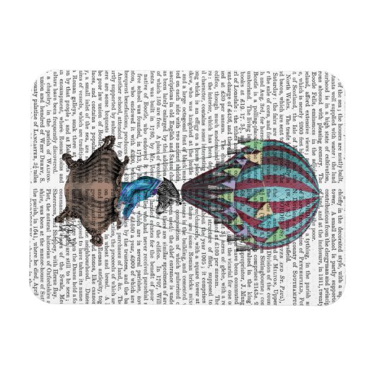 Flying Zebra Magnet (Horizontal)