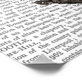 Flying Zebra Poster (Ecke)