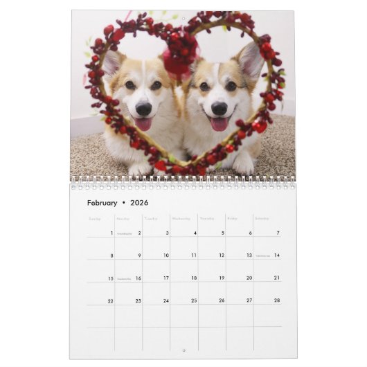 Flynn & Mugens Jahr der Pawsitivität Kalender (Feb 2026)