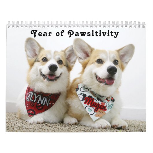 Flynn & Mugens Jahr der Pawsitivität Kalender (Titelbild)