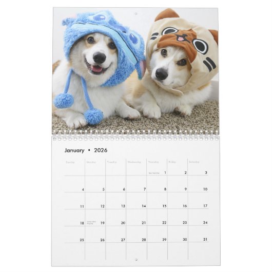 Flynn & Mugens Jahr der Pawsitivität Kalender (Jan 2026)