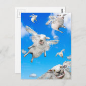 FLYSCHE 2 POSTKARTE (Vorne/Hinten)